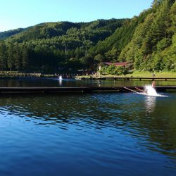 大物狙いでエキスパートエリア ～平谷湖フィッシングスポット～